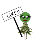 F115B80C-6C3C-4402-90E9-07DBF4AFE144