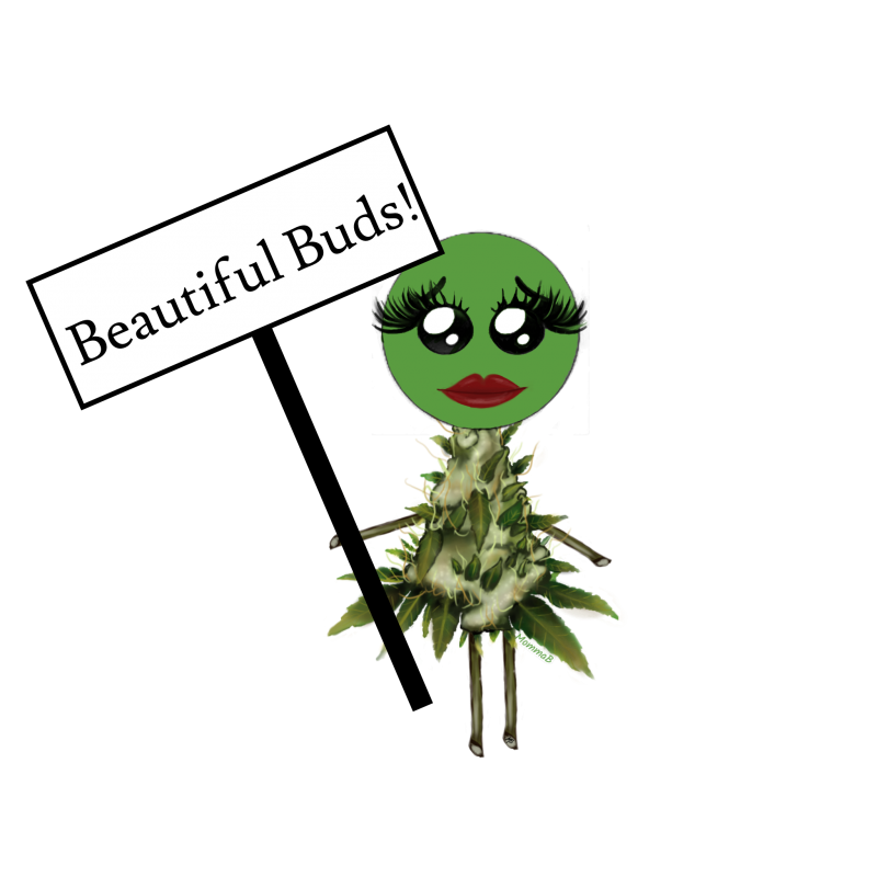 B41F9A54-901B-41F3-8848-AF21B4DC88AF