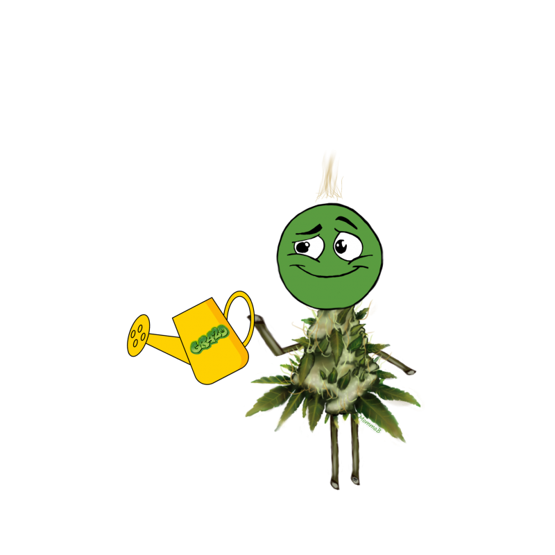 755C5D6C-6BBA-4060-B106-CD9C666FD73C