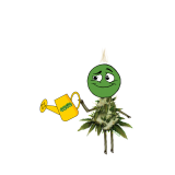 755C5D6C-6BBA-4060-B106-CD9C666FD73C