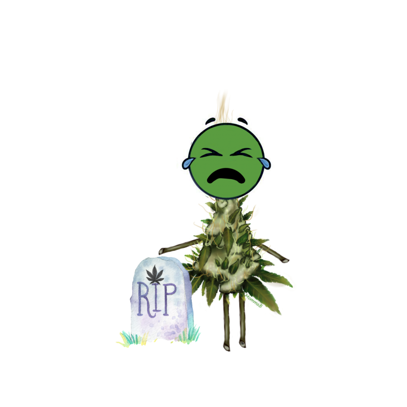 D552F43A-1382-4DCF-A25F-C23F684A8589