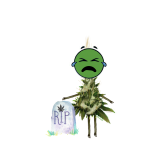 D552F43A-1382-4DCF-A25F-C23F684A8589