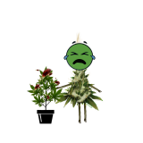 2D3CBDAA-5B20-4C62-BC1A-E4B7B4575D68