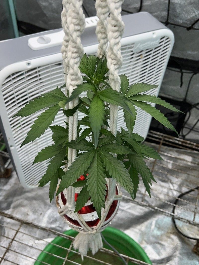 F58B95C6-4D49-442D-BF94-E52FB86FB276