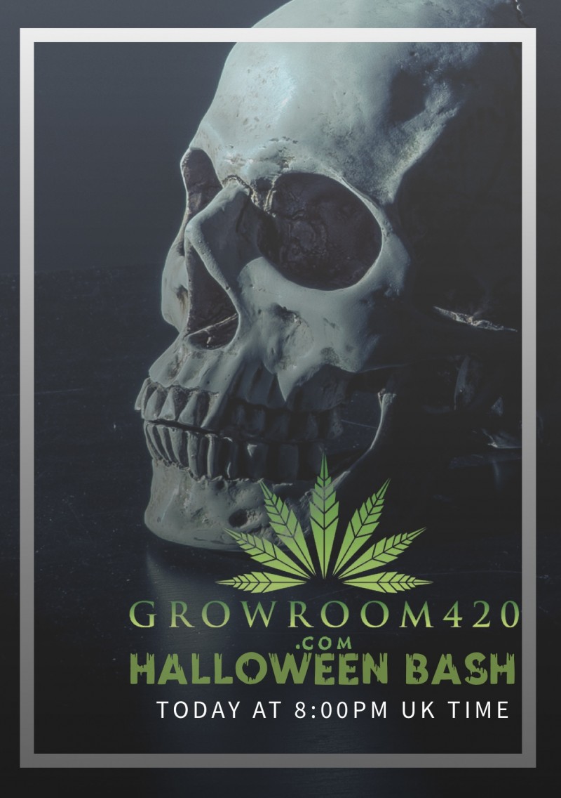 A61E640D-7EAA-4328-9A63-987C8D4611B7