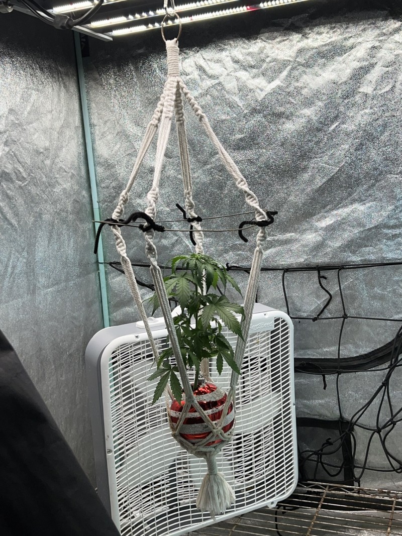 60DA68B8-6A68-421A-AA33-FB1B1A7B583F