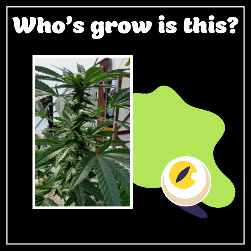 C801DFD4-958C-4C43-8598-4691E2E85189