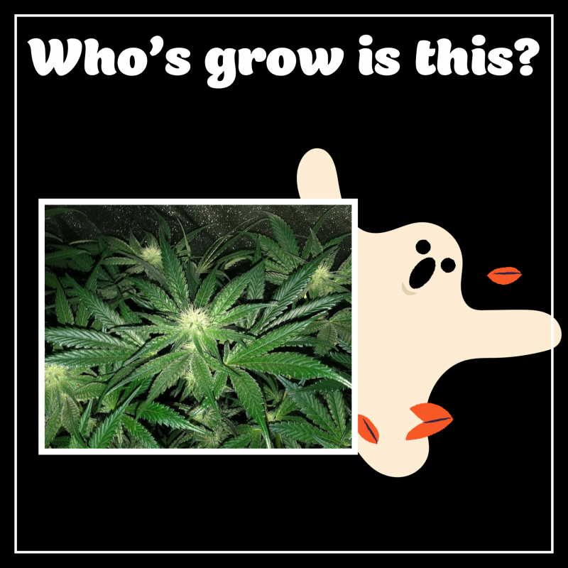 8CAA72E5-1ED3-43F9-85CC-4883C2F2EEC1