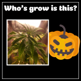 9417B93C-77FA-441C-9F8E-F5AEF725445A