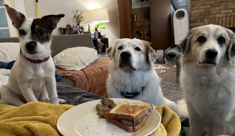 08C2C830-58AD-4D45-BAEA-AD3160596FD7