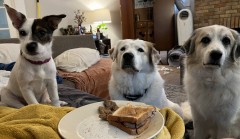 08C2C830-58AD-4D45-BAEA-AD3160596FD7