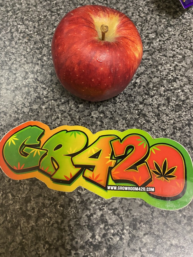 008EB203-32A2-48F9-B91A-899D53240ED0