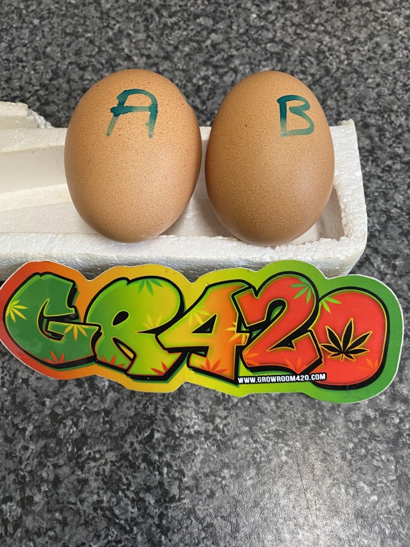 3BEA7E45-DDF4-4CA3-805C-313585B44526