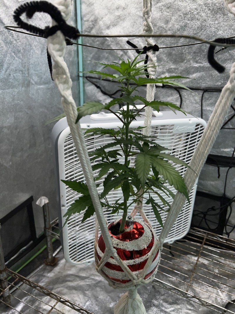 3DB3C91D-1E1D-4E46-A36A-AA709D8BCA42