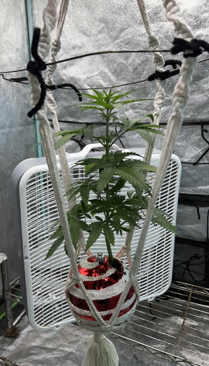 6F88610B-B0CC-4F52-A051-C66A29C85CE8