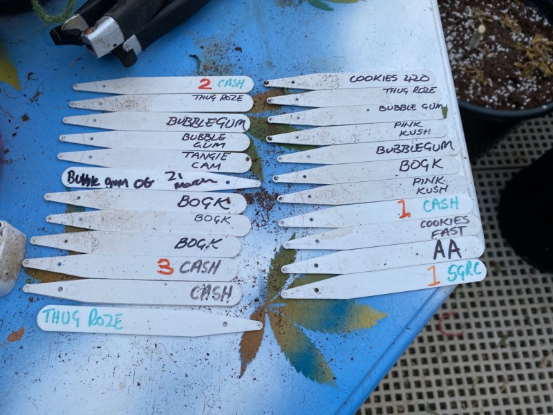 2C61E410-4309-43F4-AD7A-6701E8895C77