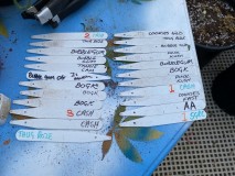 2C61E410-4309-43F4-AD7A-6701E8895C77