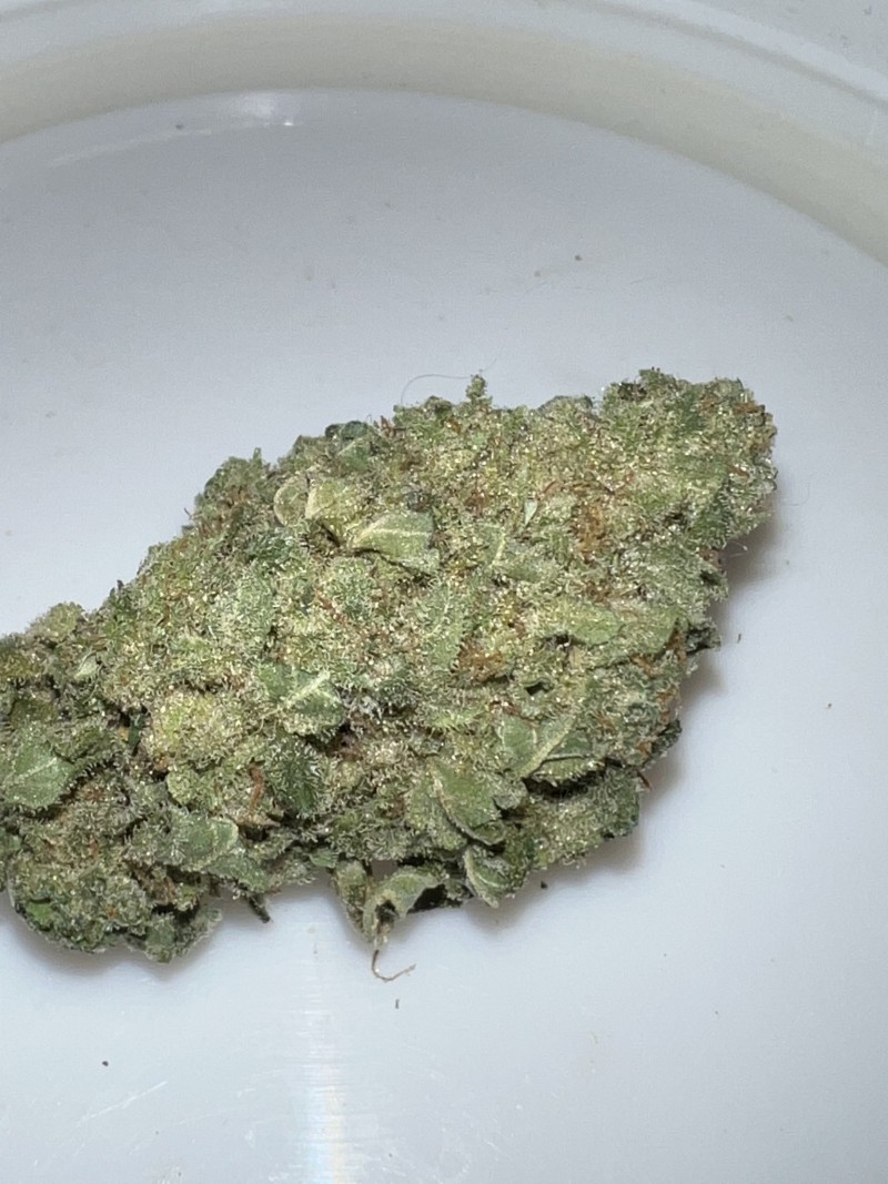 BF8C1BA1-2C0F-407B-96A5-AC5276A2B1BF