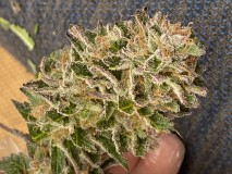 8953CA59-C230-431B-A263-504F9B8F6D14