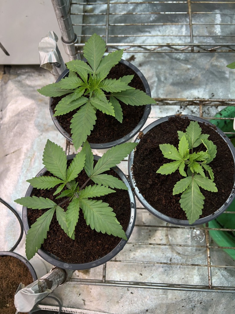 DC6427B5-1FAC-49C9-A8C1-74982BAA03A9