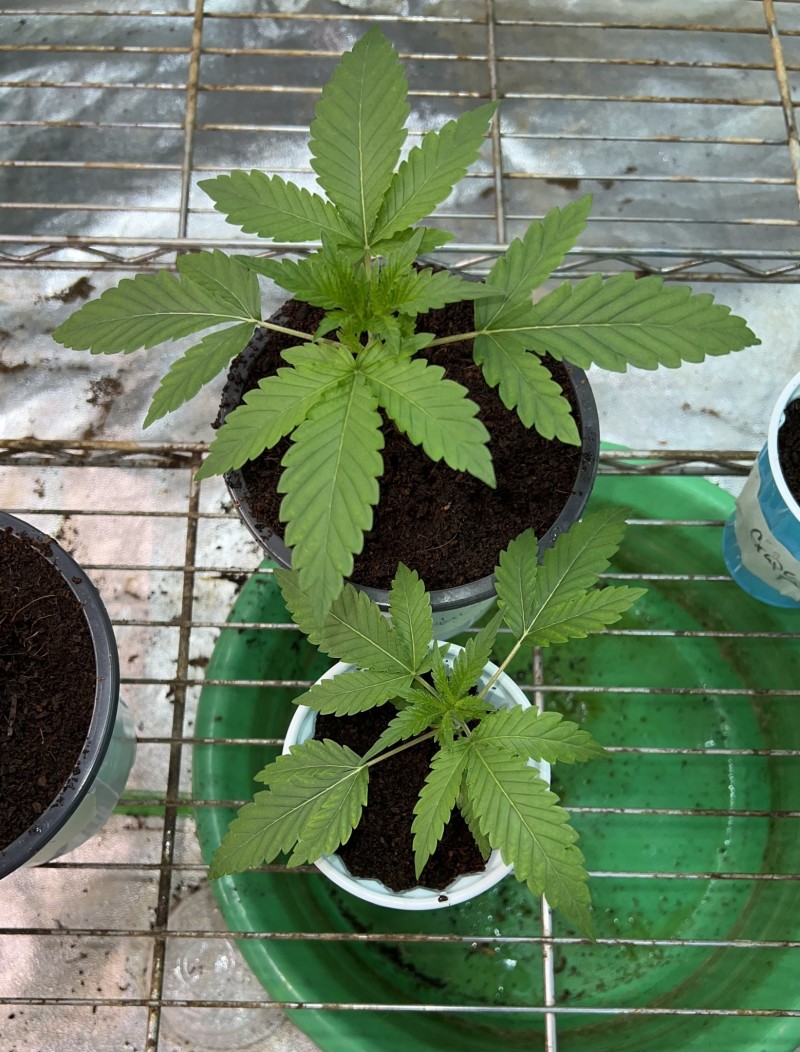 B7B34F58-A8CC-4684-8F36-AEFCDD852110