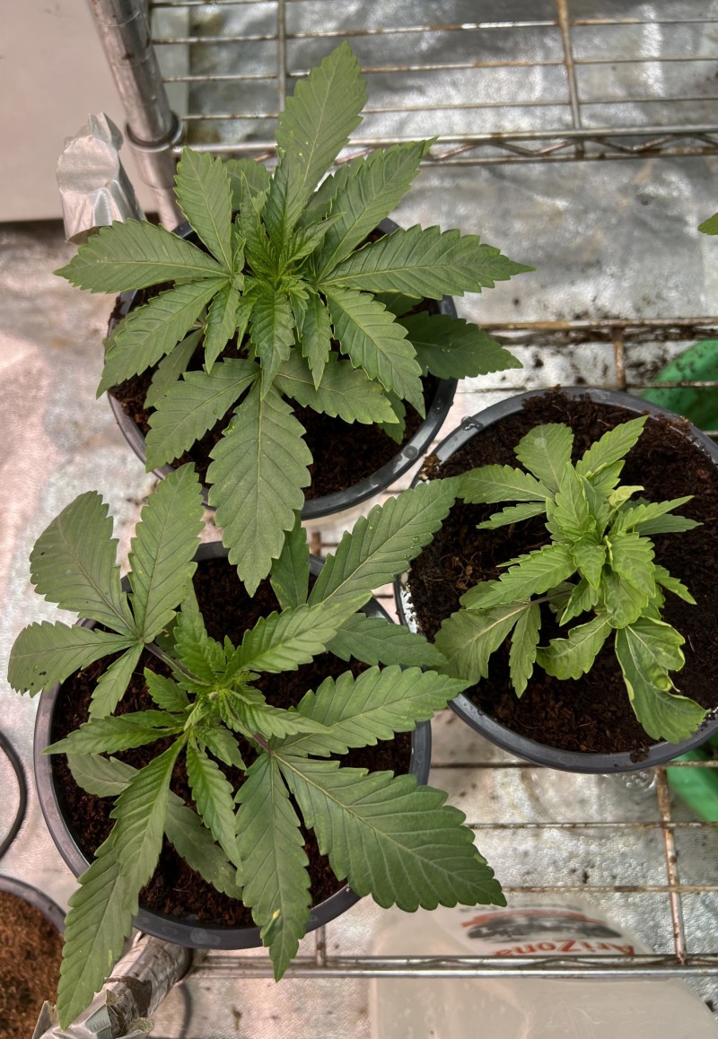 8E6E1082-77A3-4283-8ED2-AC6FB9272A74