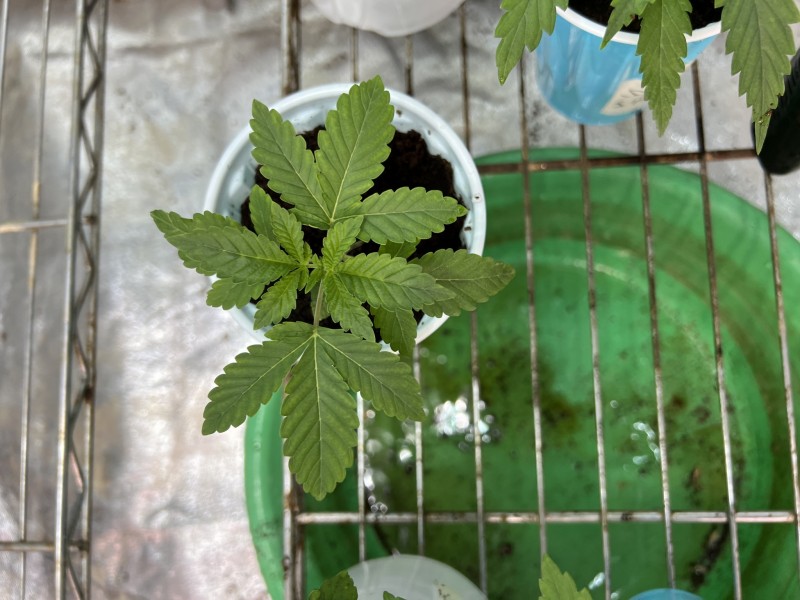 466646CF-2EF6-4AA2-A305-80EDDBE9381C