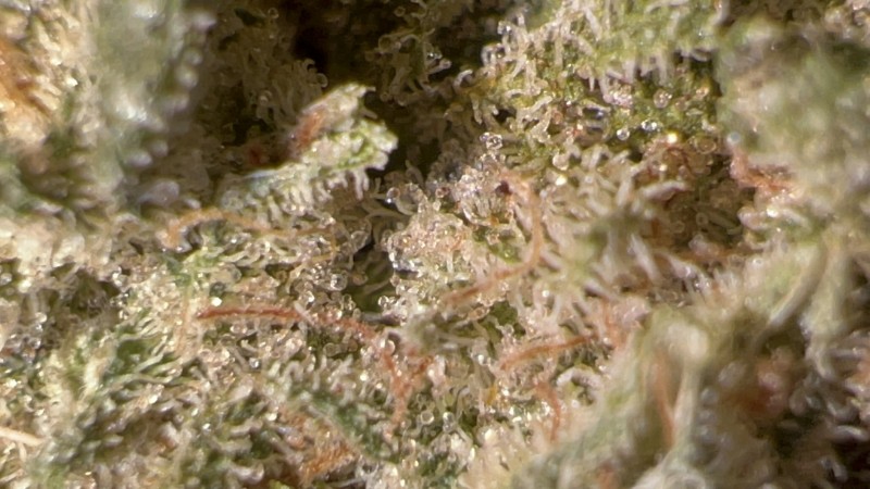 E25D51AF-82D0-4B6C-8A15-168327EED5C4