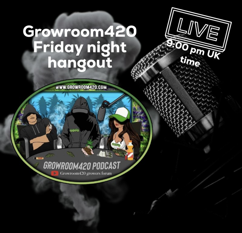 C369A0DA-1ADD-4A99-9BF2-9A199562BC5C