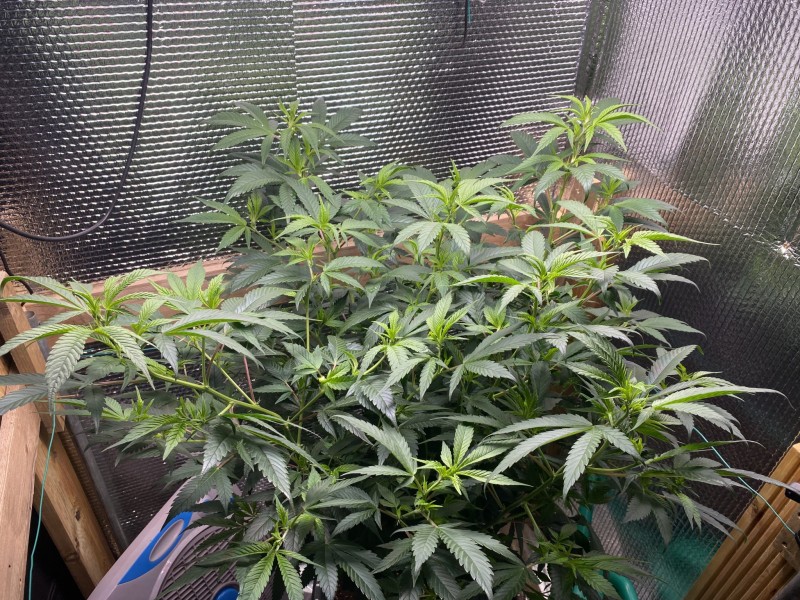 D118CA2D-0275-4A0B-BC23-FABFC9D42EBA