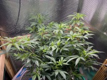 D118CA2D-0275-4A0B-BC23-FABFC9D42EBA