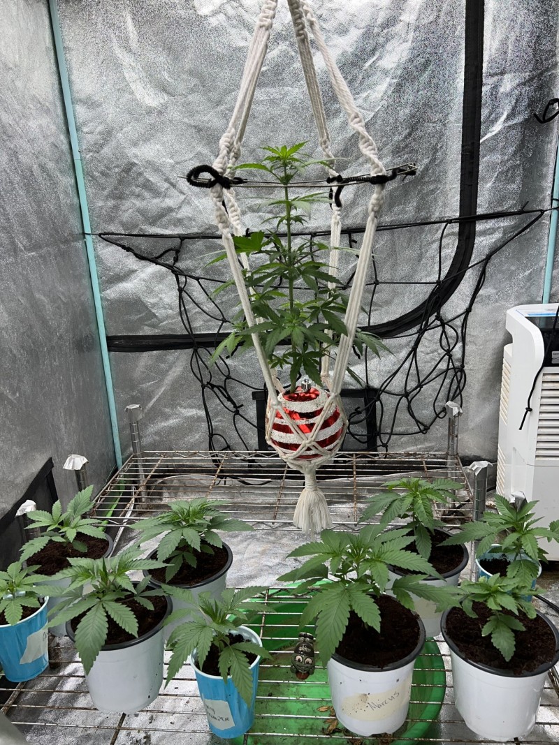 D91EC1DB-3AF9-49A5-A525-E3AC77FEEB86