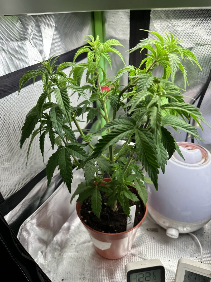 3FF99D44-3277-48A3-AA65-3F66F78E5A85