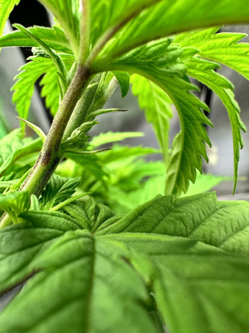 03B24497-3EE2-4257-89F3-4557105CC2FF