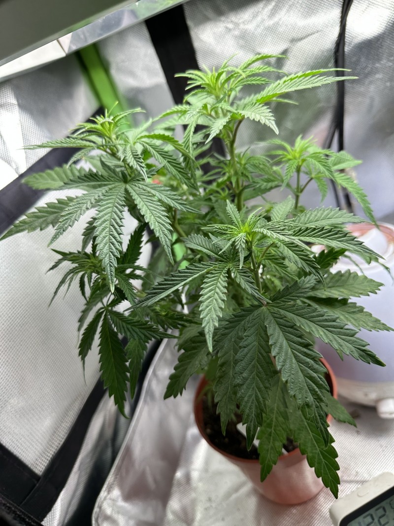 4C1695BD-BBE0-4E95-A3A2-2D8CF6FCE96A