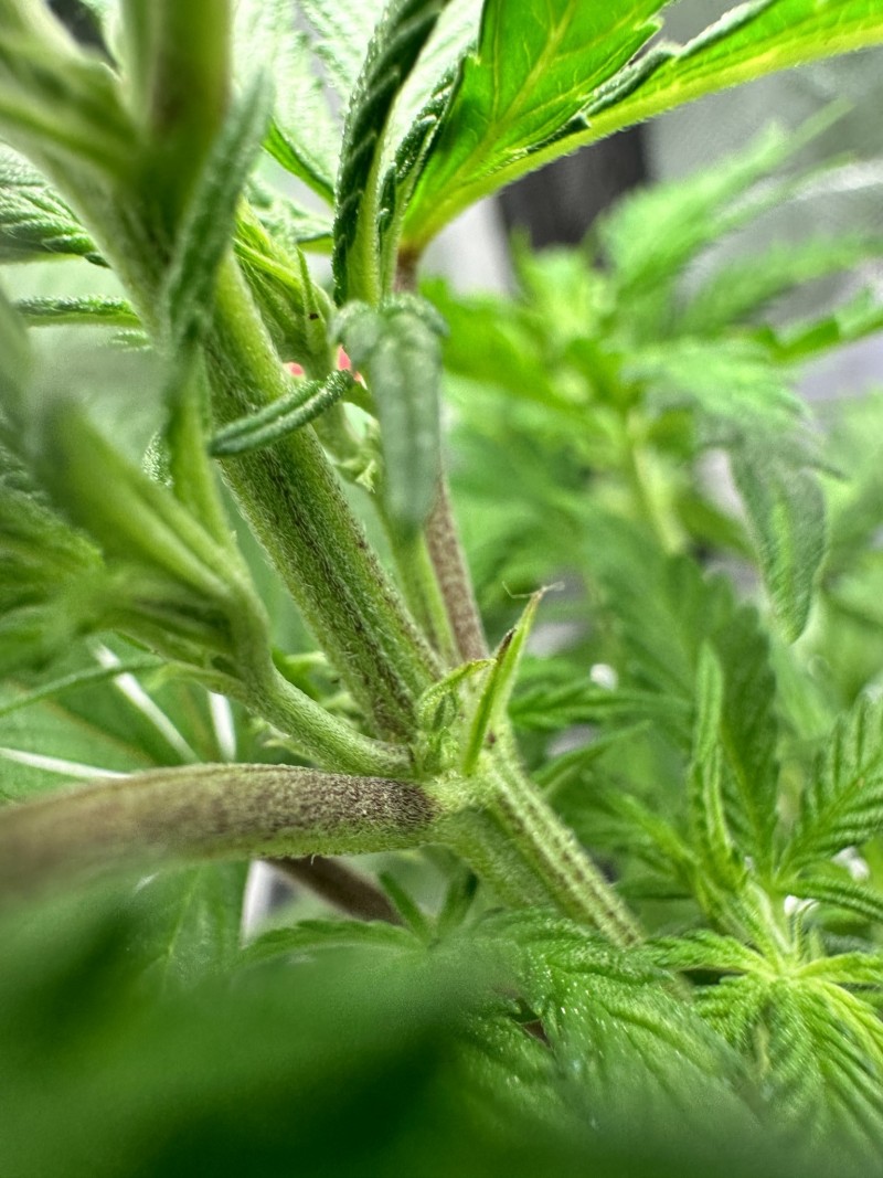 E0FB08FA-11C5-4BE0-8B88-C9DBF6A5AEE7