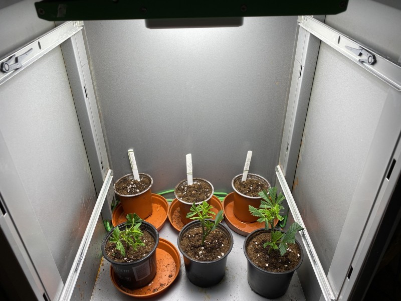 51C5CB94-38E6-4DB4-AE88-4A75895768A4