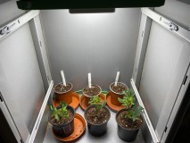 51C5CB94-38E6-4DB4-AE88-4A75895768A4