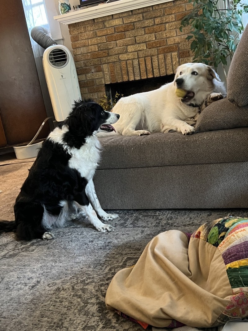 4C6E47FD-0614-47F0-86B4-AE9035ADB2A0