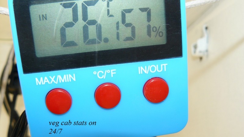 drobes and plants 10 11 22 019