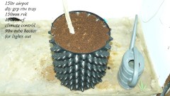 drobes and plants 10 11 22 035