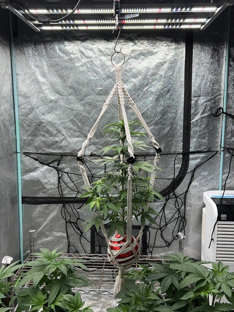 935BFDF4-267C-4236-8B61-6B079B28BF33