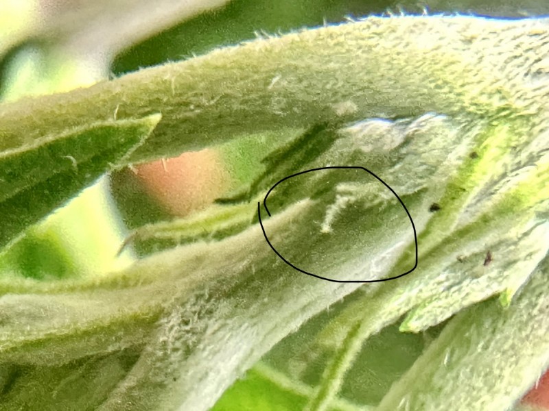 5A995ECD-96D1-4604-8218-33A6927F6019