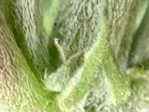 0C3F7E3C-2BCD-461F-9BB6-9DF73787FF1A