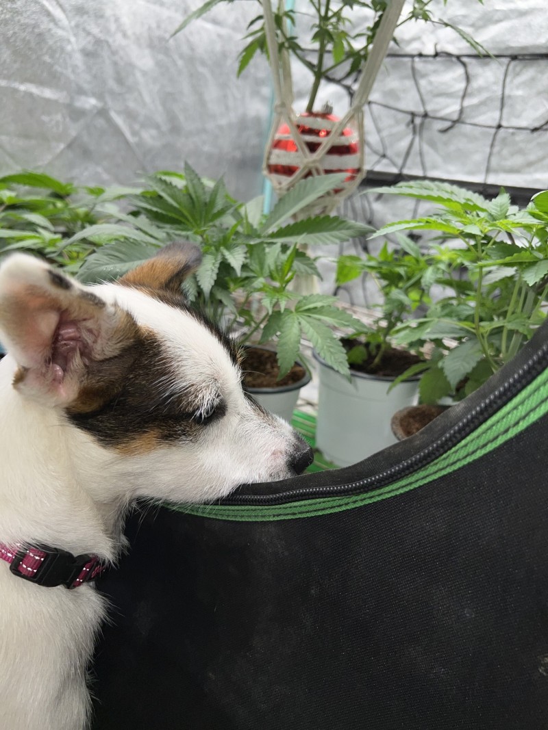 1B0DF31F-02A2-4C70-A2FB-9A6EB27330DD