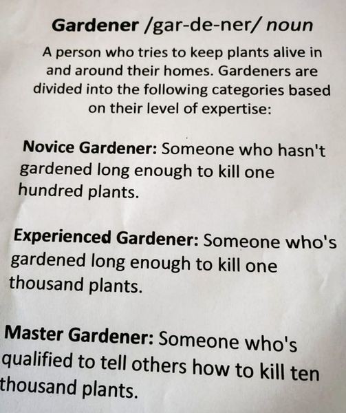 315091772_6150497348328529_4125186124348882856_n