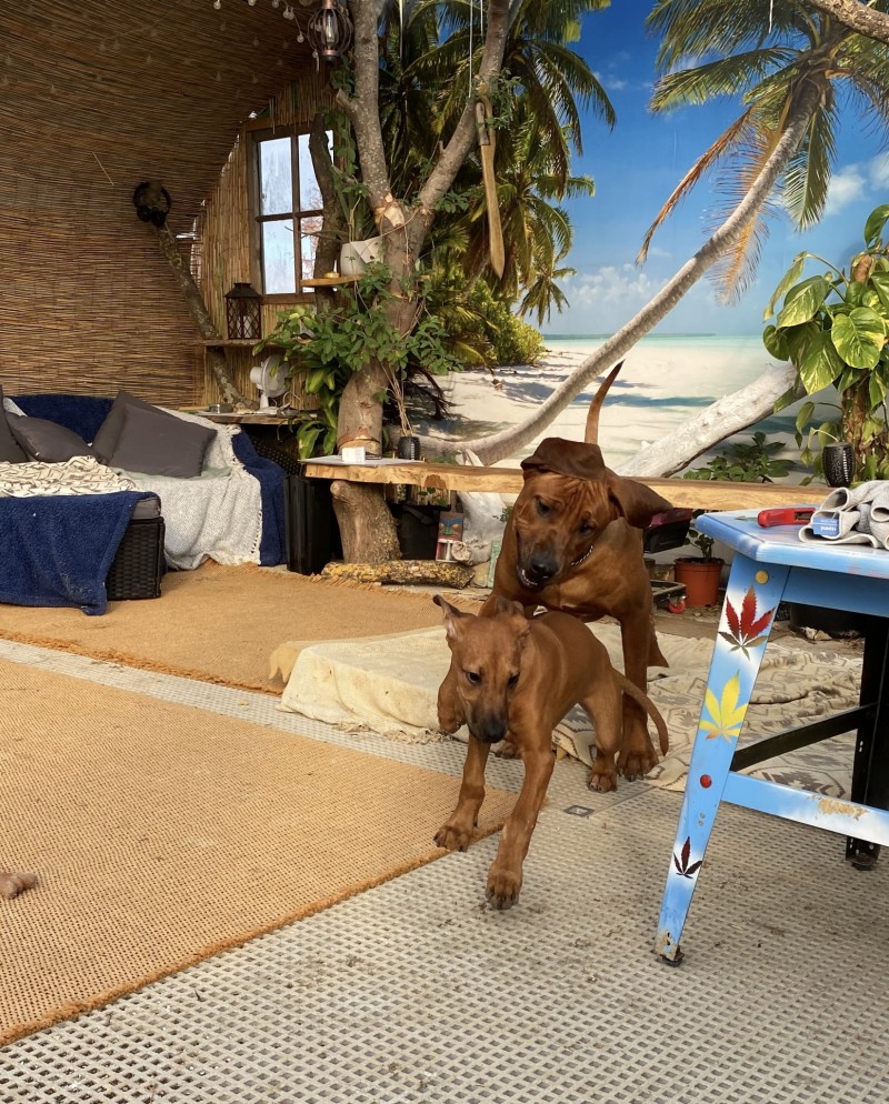 4B583E79-B1BF-4210-B2A2-4C5DF5291A68