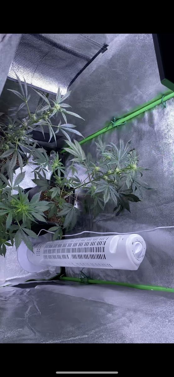 1EF0DF62-9DDA-490F-B544-8A88803E33BE