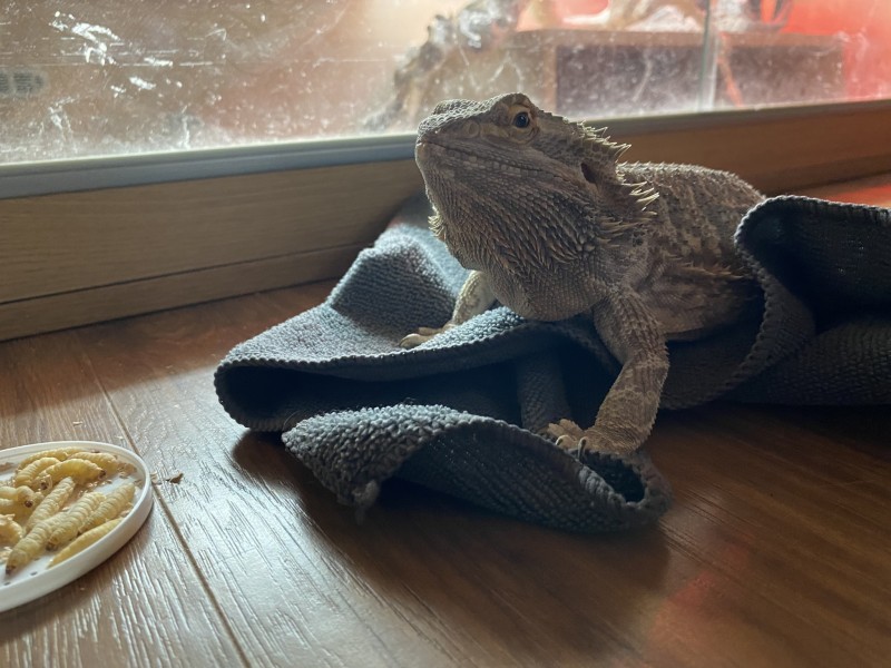 BFD1EA94-DEC8-477B-A56E-5D32FBDA33D5