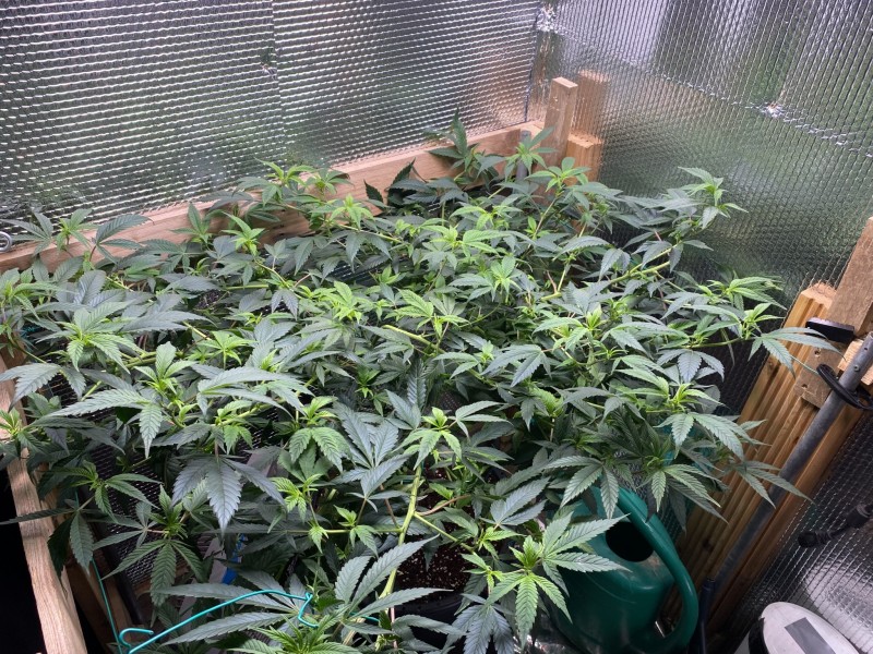 D21EE155-F0FF-4B05-A0A0-1596F79AFF5E